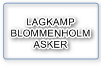 Blommenholm vant årets lagkamp mot Asker BK